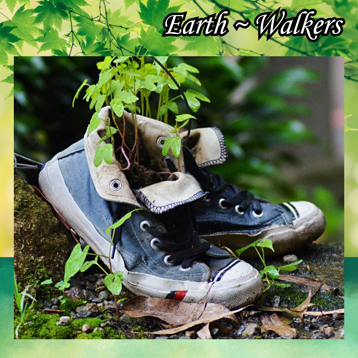 Wandering Soles